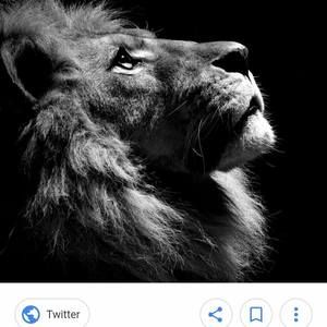 Meet your Posher, Jose